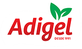 site-adigel-teste